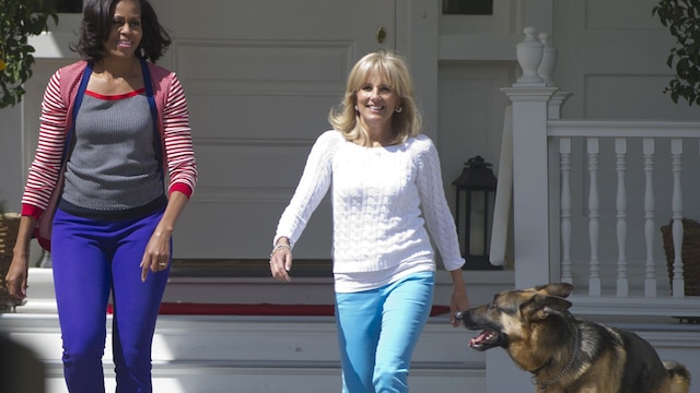 biden dog