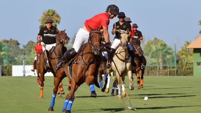 sotogrande