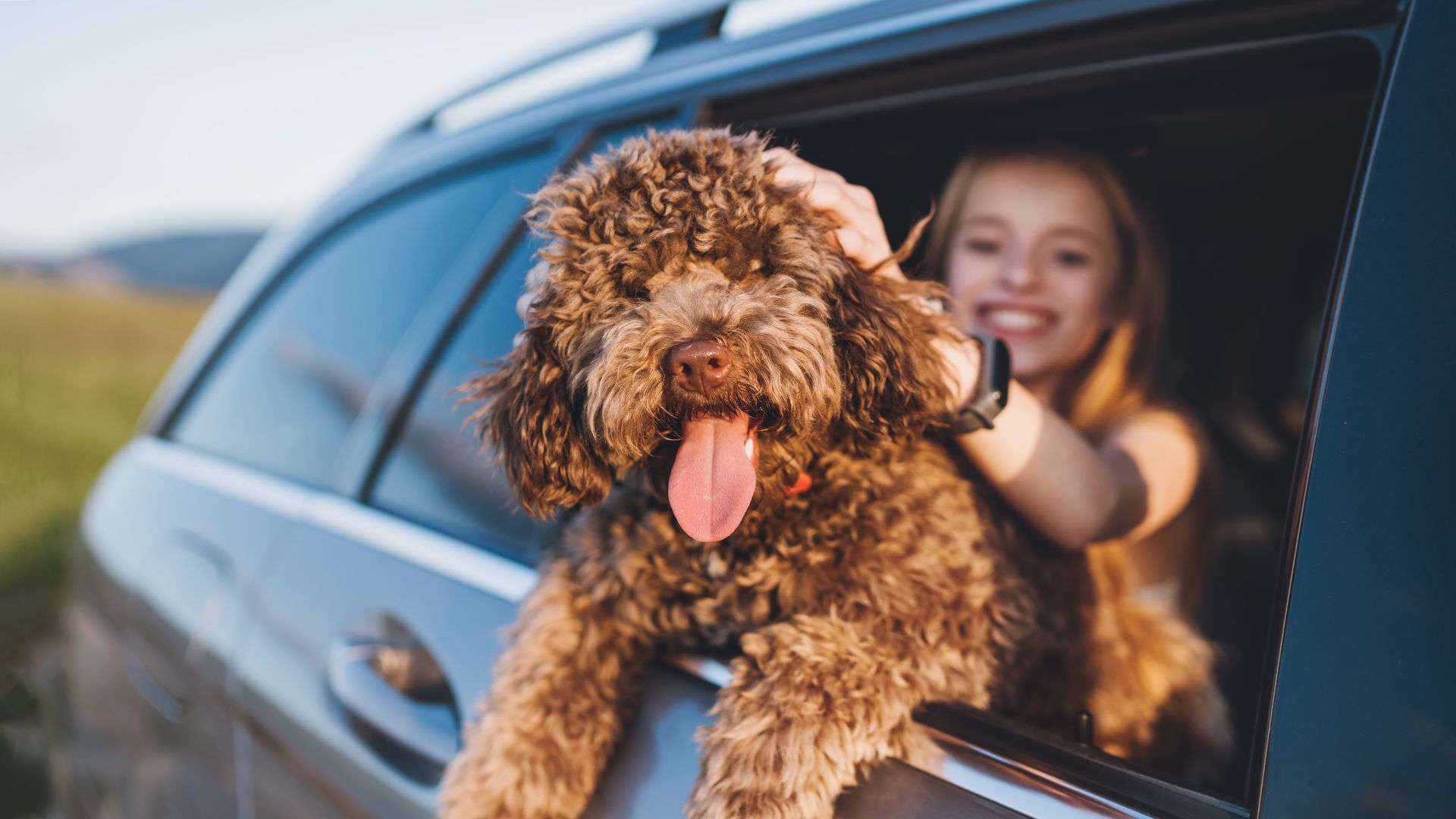 Ya no dejamos al perro en casa: así son las vacaciones de la nueva generación de viajeros 'pet friendly'
