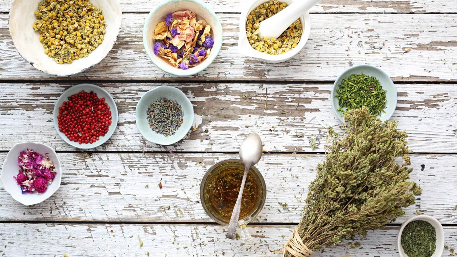 Te descubrimos ​cuáles son las mejores plantas para la salud de la mujer