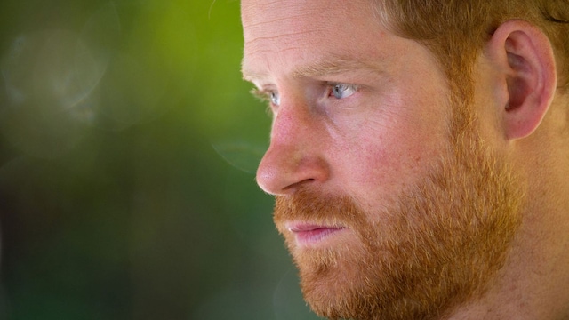 harry sussex