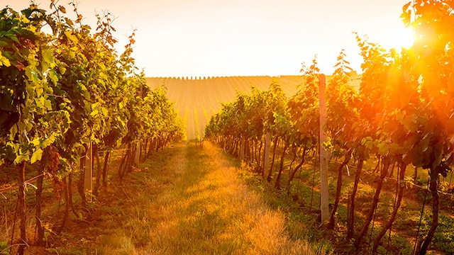 rioja