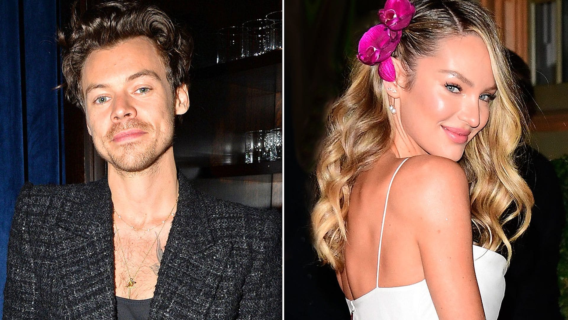 Harry Styles, ¿cautivado por la belleza de la modelo Candice Swanepoel?