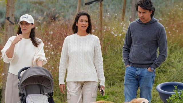 tamara falc ense a tico