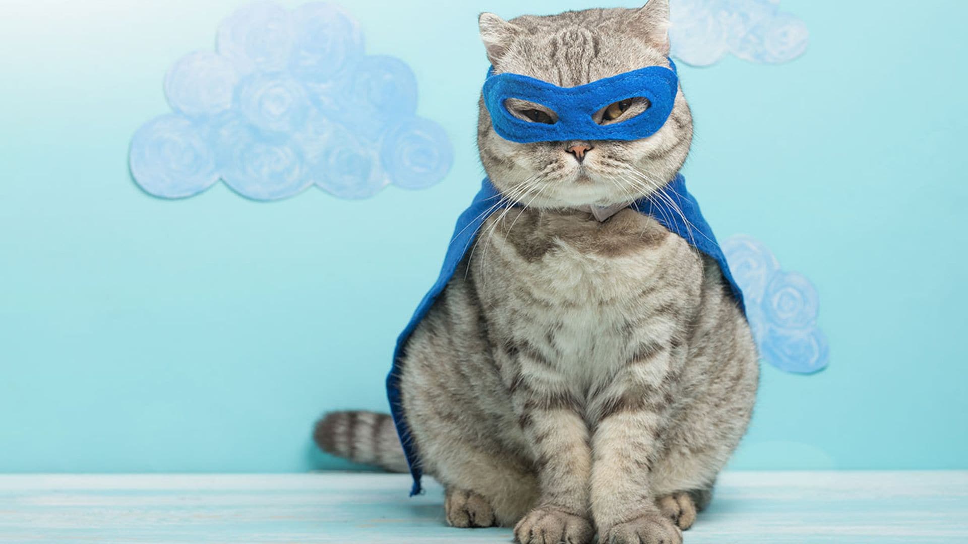 Si los gatos fueran superhéroes, estos serían sus dones