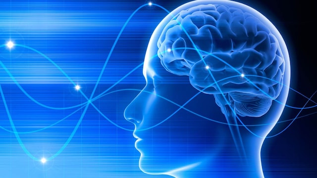 pensamiento cerebro