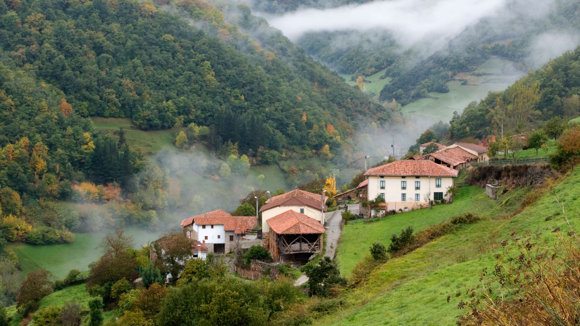 La magia de la berrea del ciervo en Liébana: dónde y cuándo vivir este espectáculo único en Cantabria