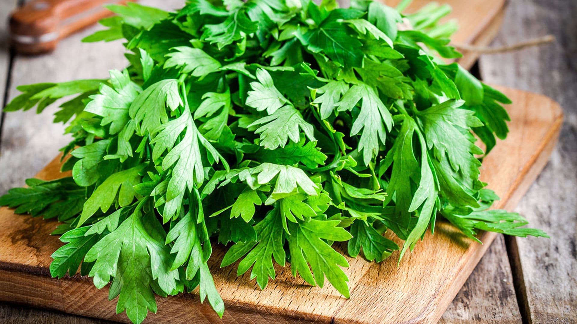 Todo sobre el perejil: origen, beneficios y sus usos en la cocina