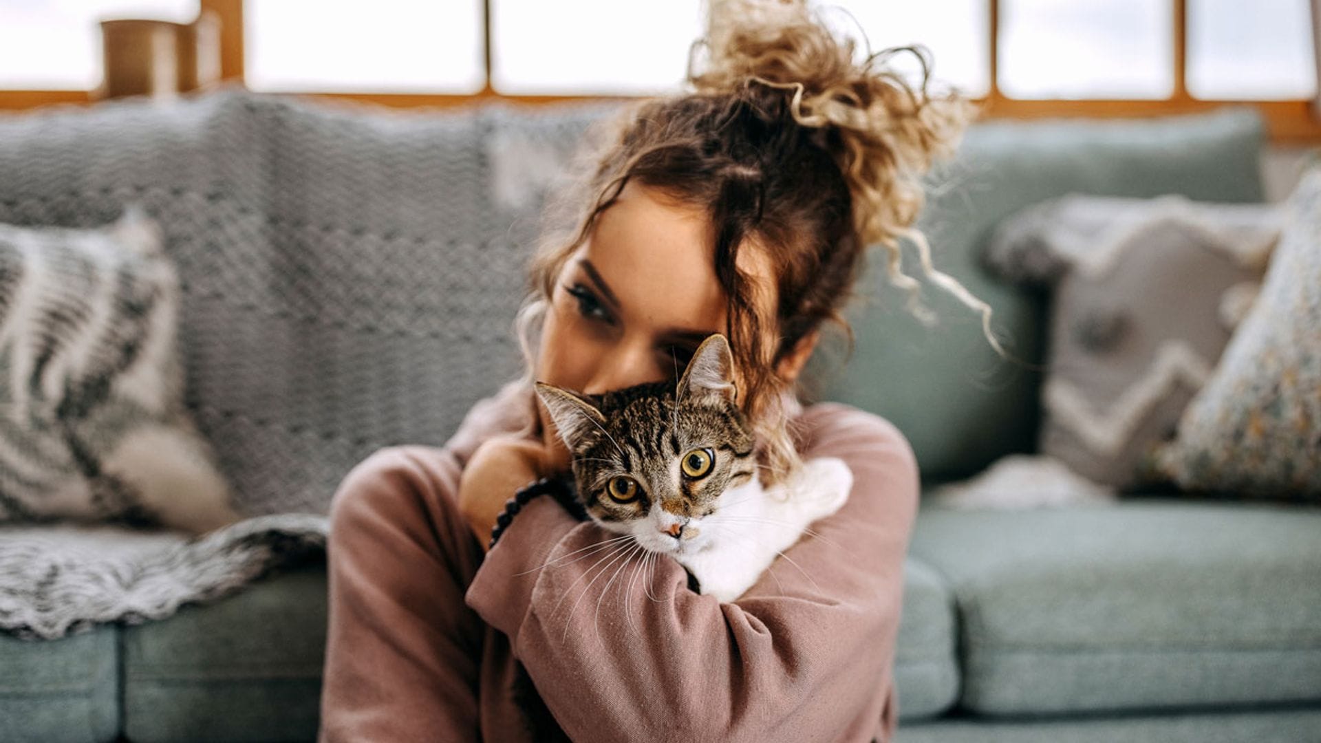 ¿Cómo pide perdón un gato?