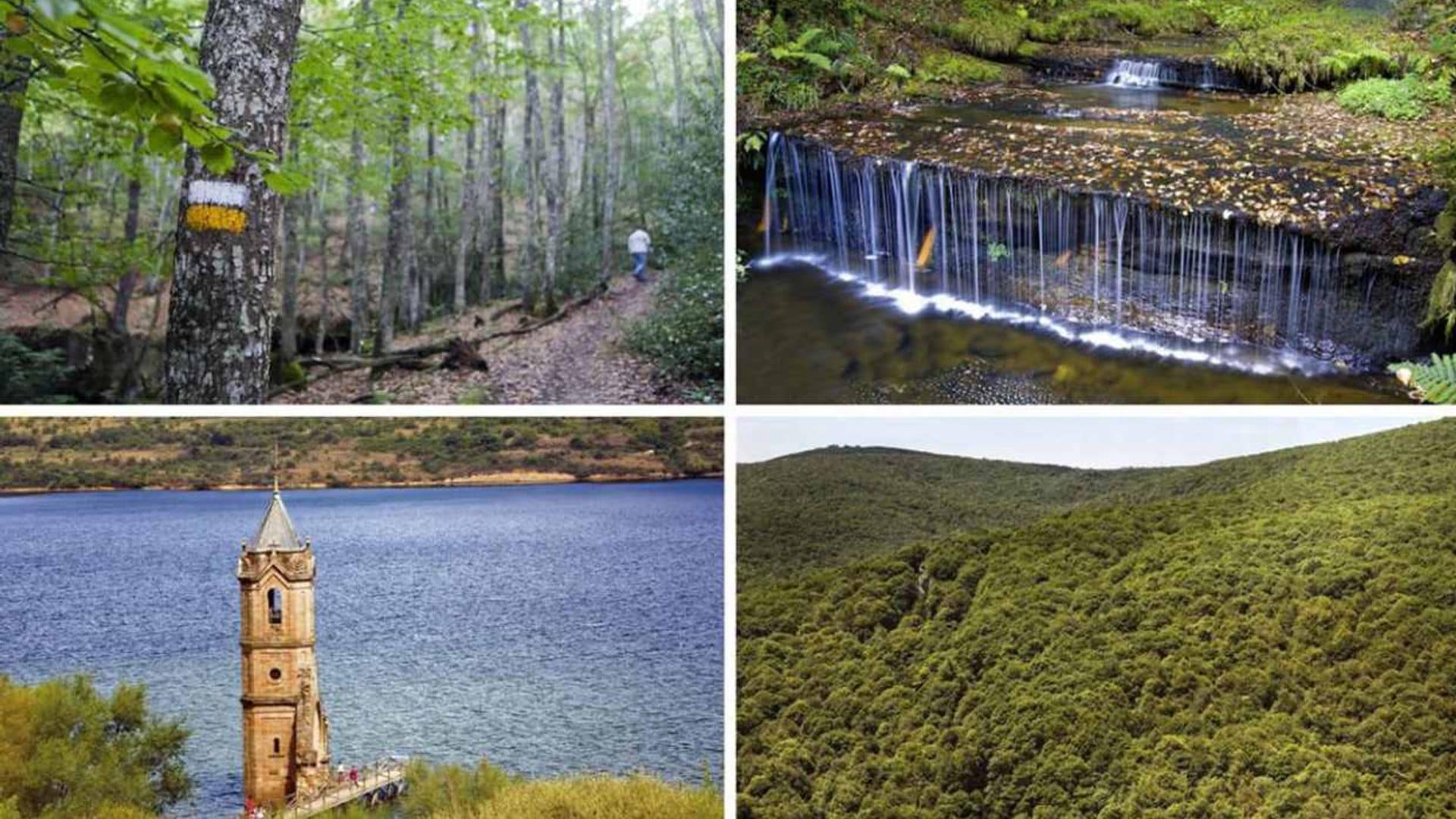 El monte Hijedo, un precioso robledal para senderistas entre Cantabria y Burgos