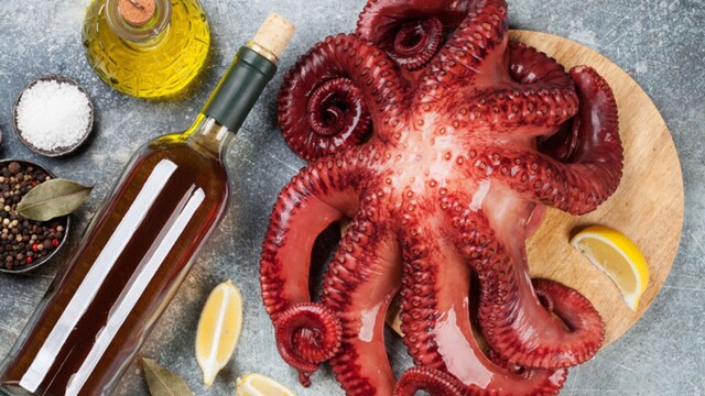 portada pulpo