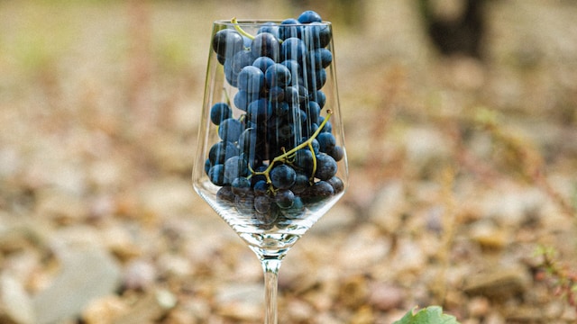 Copa con varias uvas de la variedad garnacha dentro