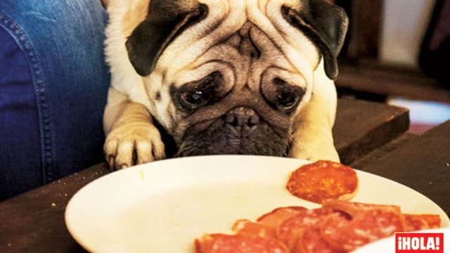 carlino 