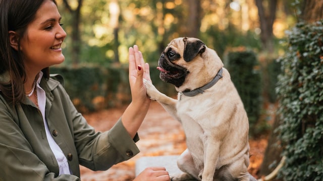 Una chica con un pug