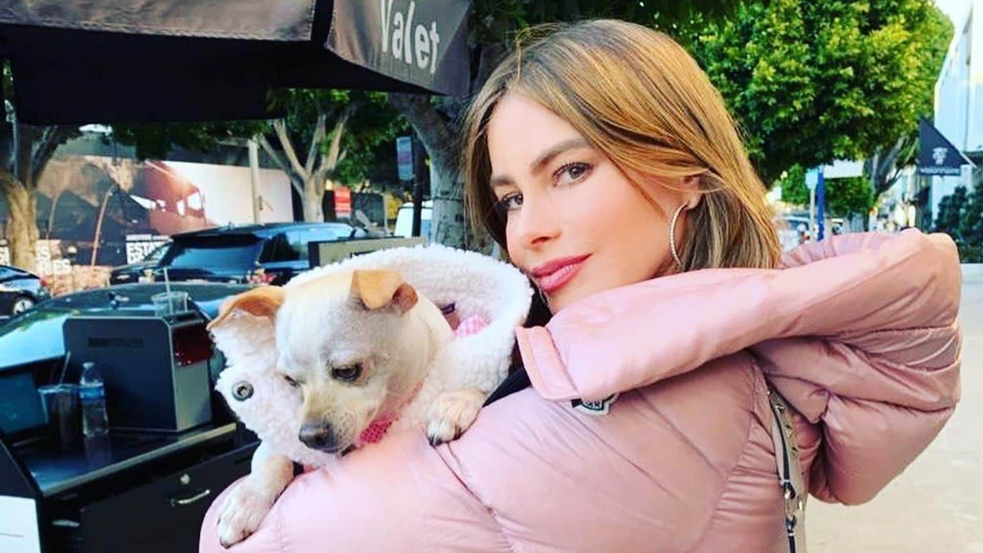 Sofia Vergara revela que las luces de los sets le causaron esta enfermedad en la piel