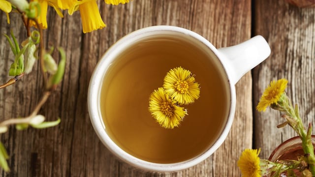 Infusión de planta tusilago que ayuda con el asma