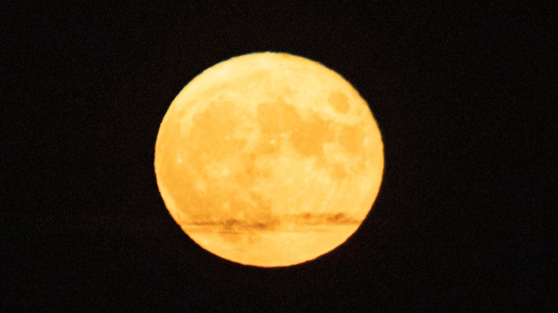 Luna de Maíz 