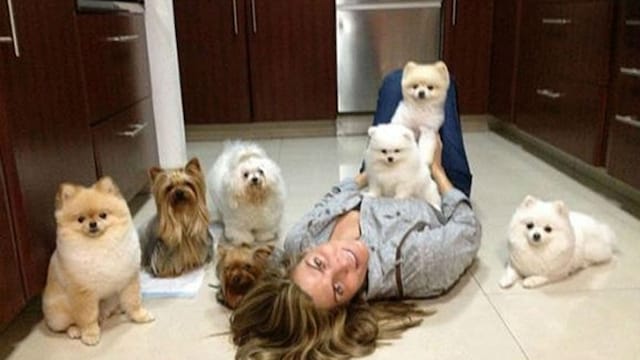 montserrat perros  a
