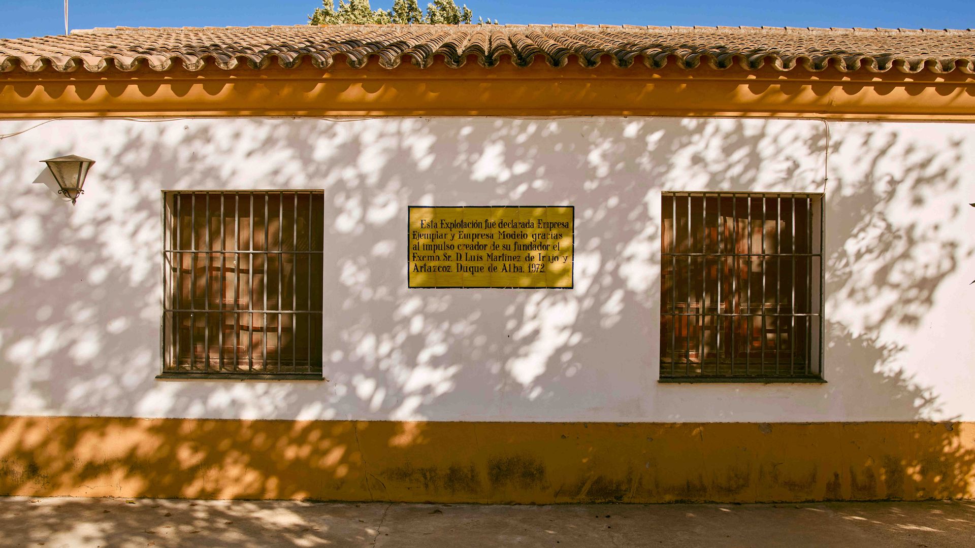 Media Image