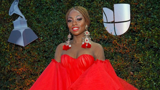 the 19th annual latin grammy awards red carpet