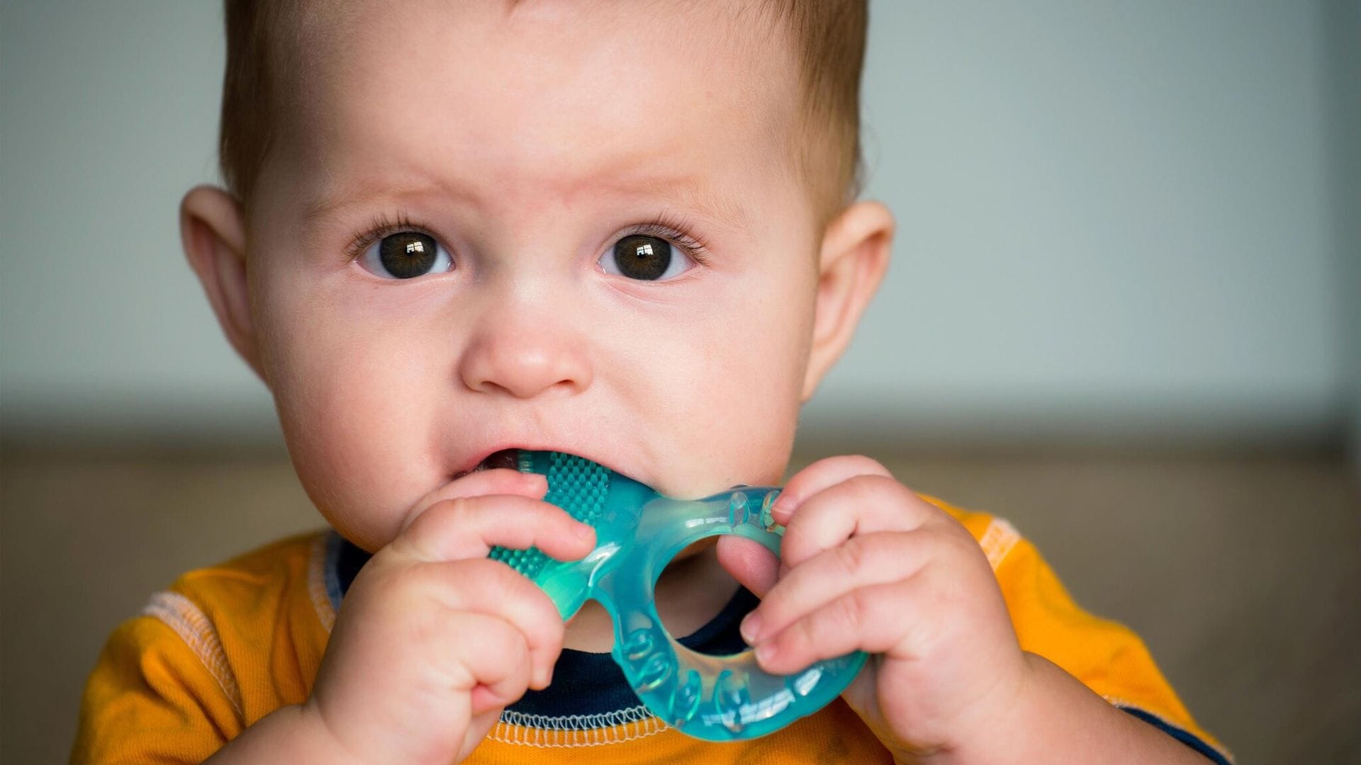 Mordedores para bebés: ¿cómo saber cuál elegir?