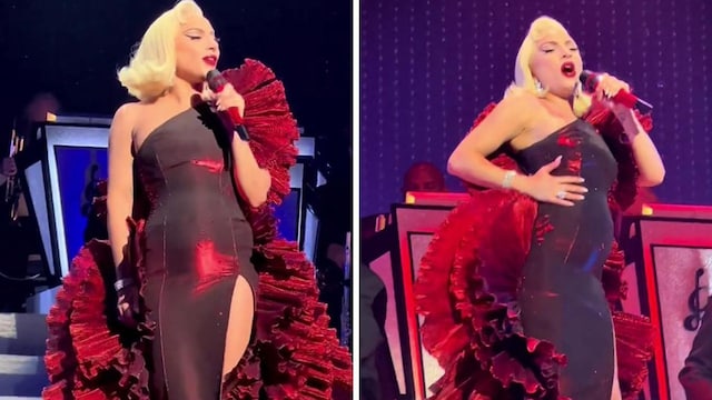 lady gaga 2 collage u77154464028wfo