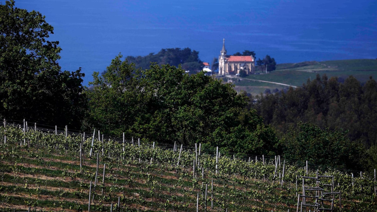Todos los planes y escapadas que no puedes perderte: desde un arroz en Valencia, a la Feria de Jaén, miles de flores en Córdoba o de vinos por Cantabria
