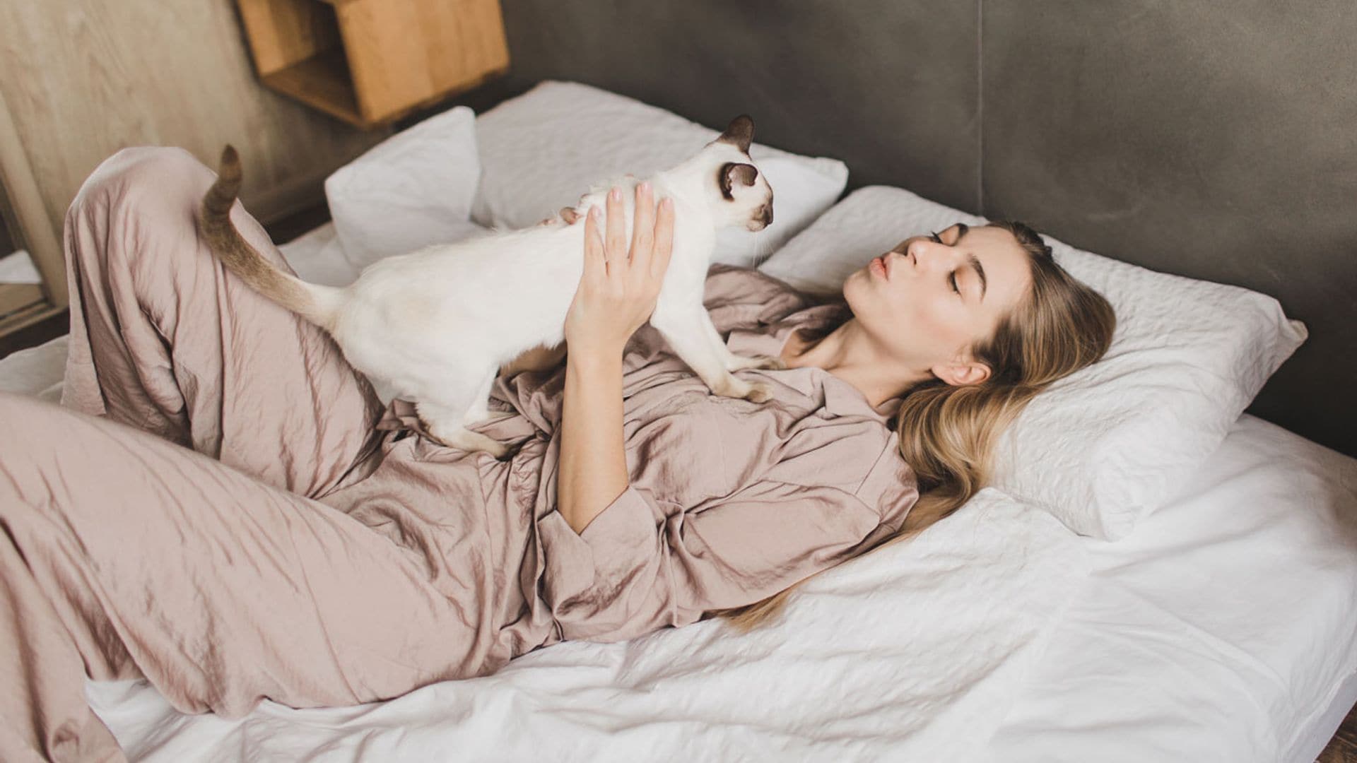 ¿Por qué el ronroneo de los gatos es tan beneficioso para nuestra salud?