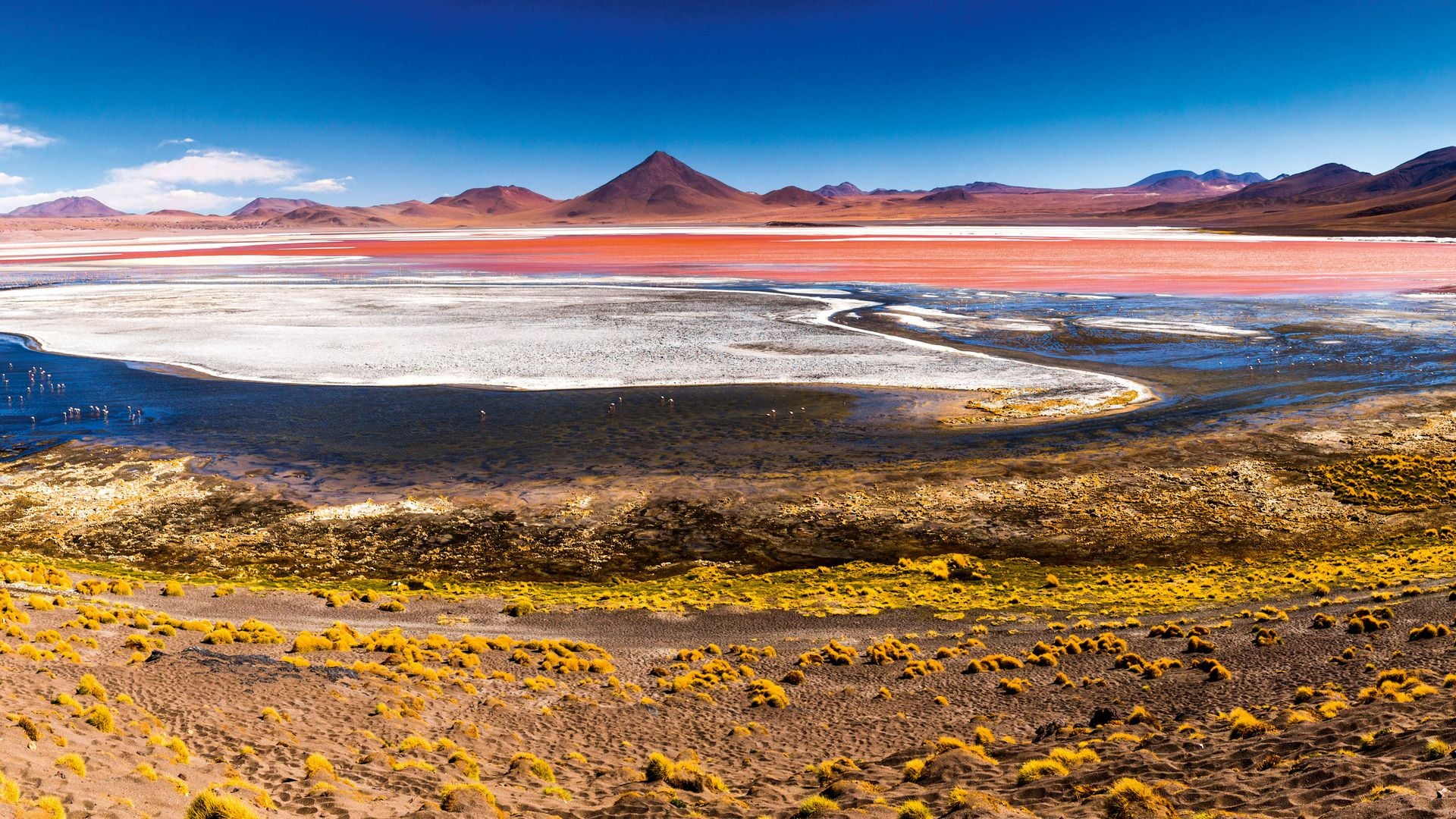 En el suroeste de Bolivia, dentro de la Reserva Nacional de Fauna Andina Eduardo Avaroa, la Laguna Colorada deslumbra con sus aguas de color rojo intenso, resultado de algas y minerales en suspensión. Entre sus orillas salinas se alimentan tres especies de flamencos, en un entorno de montañas y desierto que parece de otro planeta.