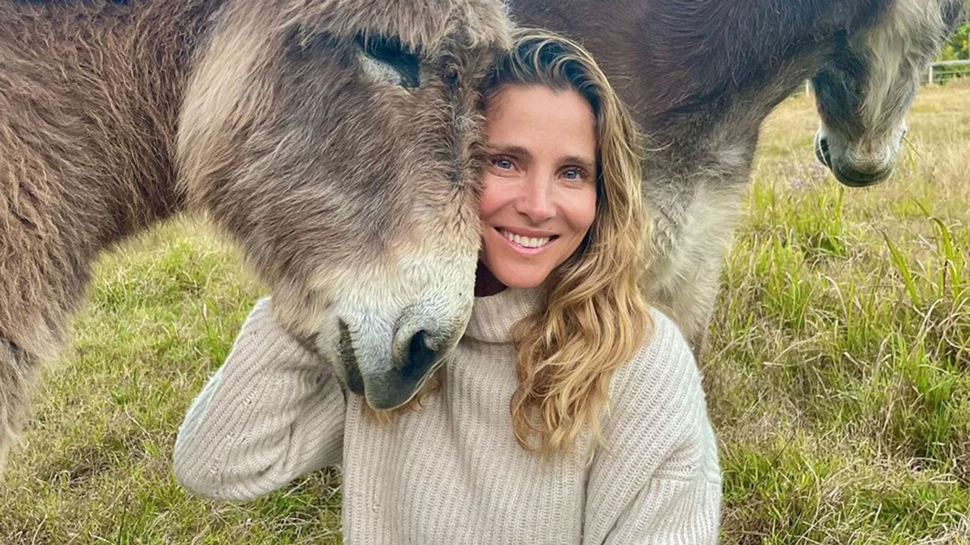 La casa de Elsa Pataky, una auténtica granja: estos son los animales que tiene en Byron Bay