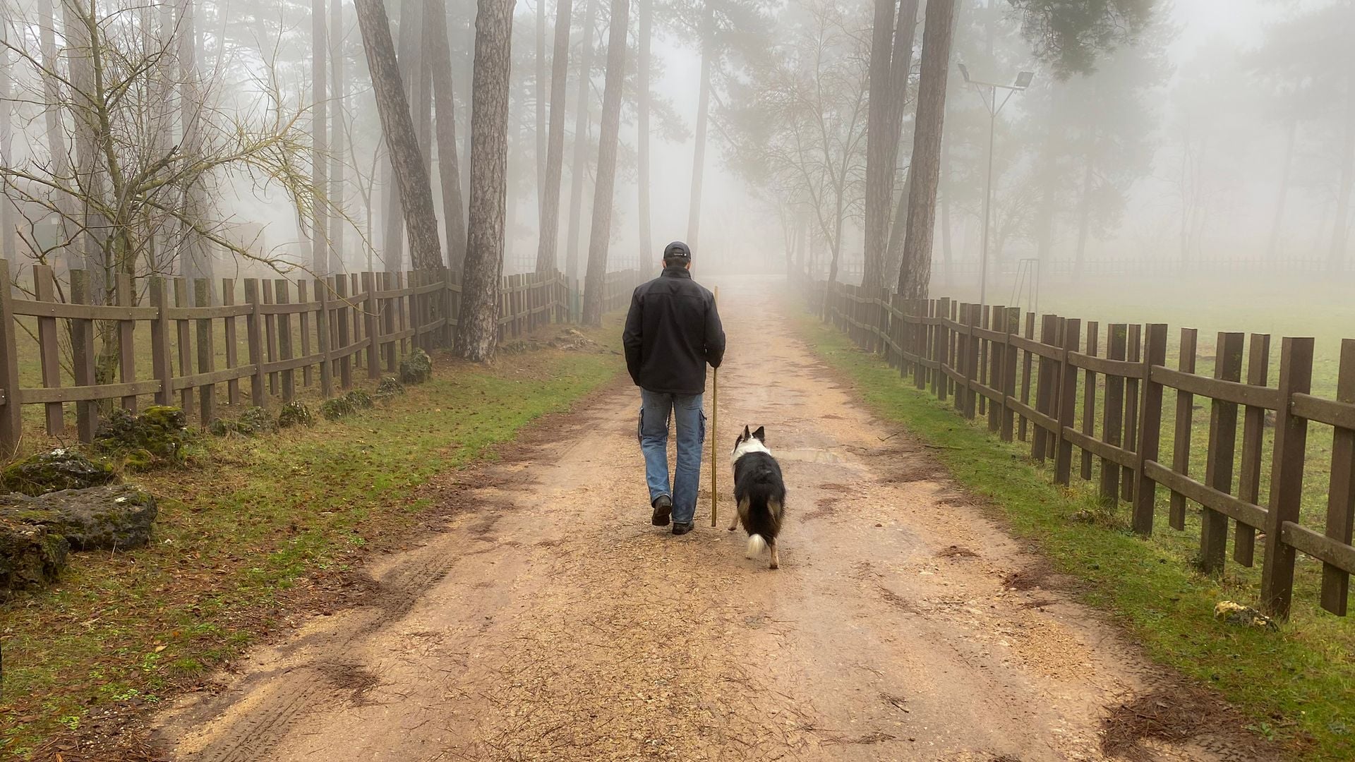 Un hombre caminando con su perro entre la niebla 