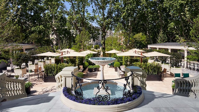 el jardin del ritz con moet