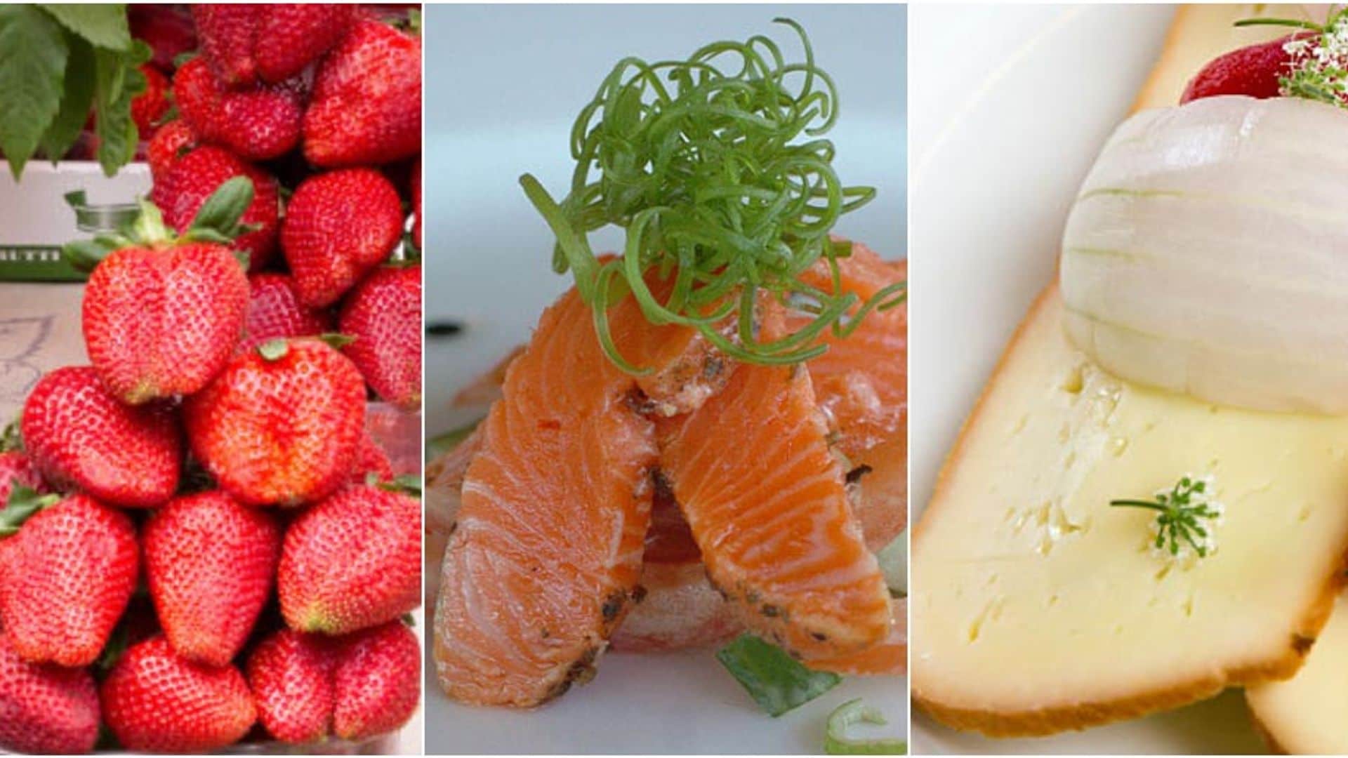 collage comida1