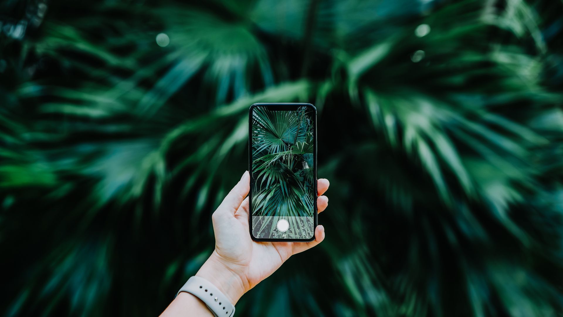 Aún está rebajado: ahorra 600 € tras el Prime Day con este móvil premium que hace fotos increíbles
