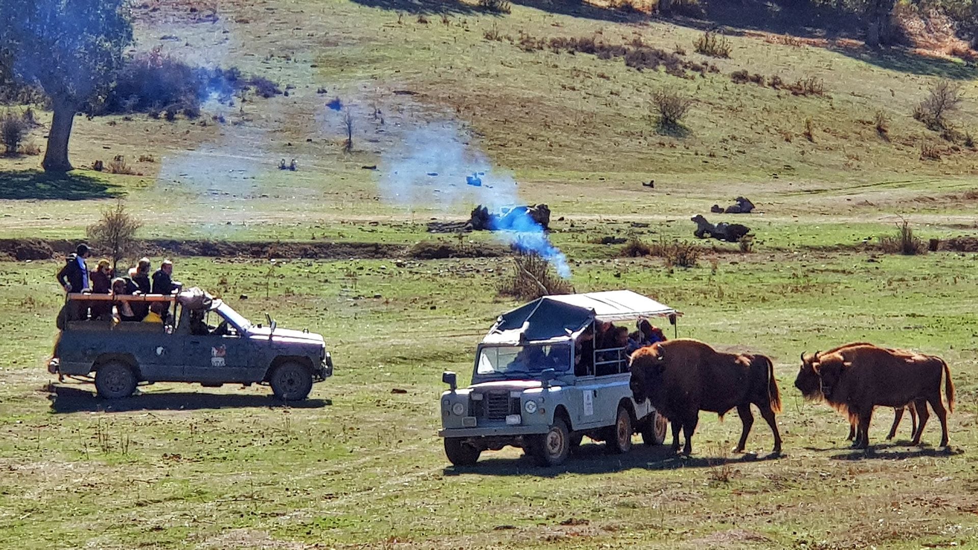 Paleolítico Vivo, Salguero de Juarros, Burgos