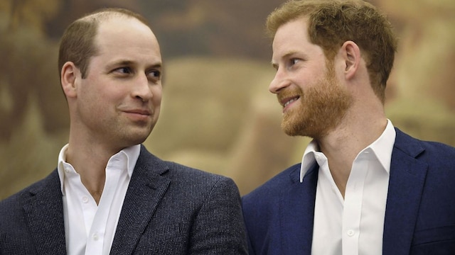 guillermo y harry