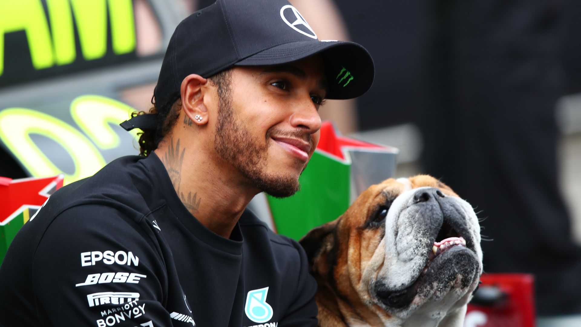 Lewis Hamilton junto a su perrito Roscoe en Portimao, Portugal. 