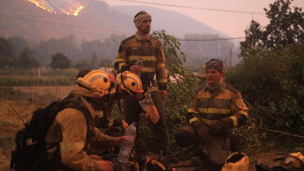  Incendios de sexta generación : la advertencia de una experta sobre los fuegos que ni los bomberos pueden apagar en España