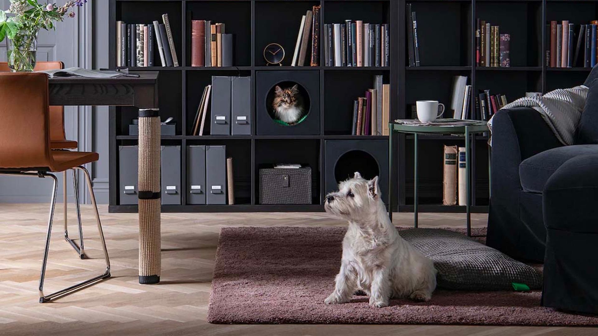 15 consejos (con pedigrí) para decorar la casa cuando hay mascotas