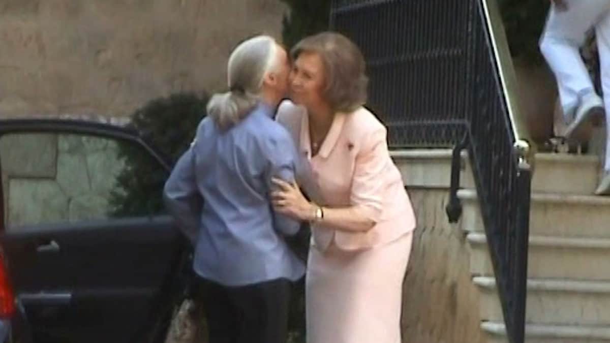Así fue el cariñoso encuentro de Jane Goodall y la reina Sofía en Marivent hace 17 años