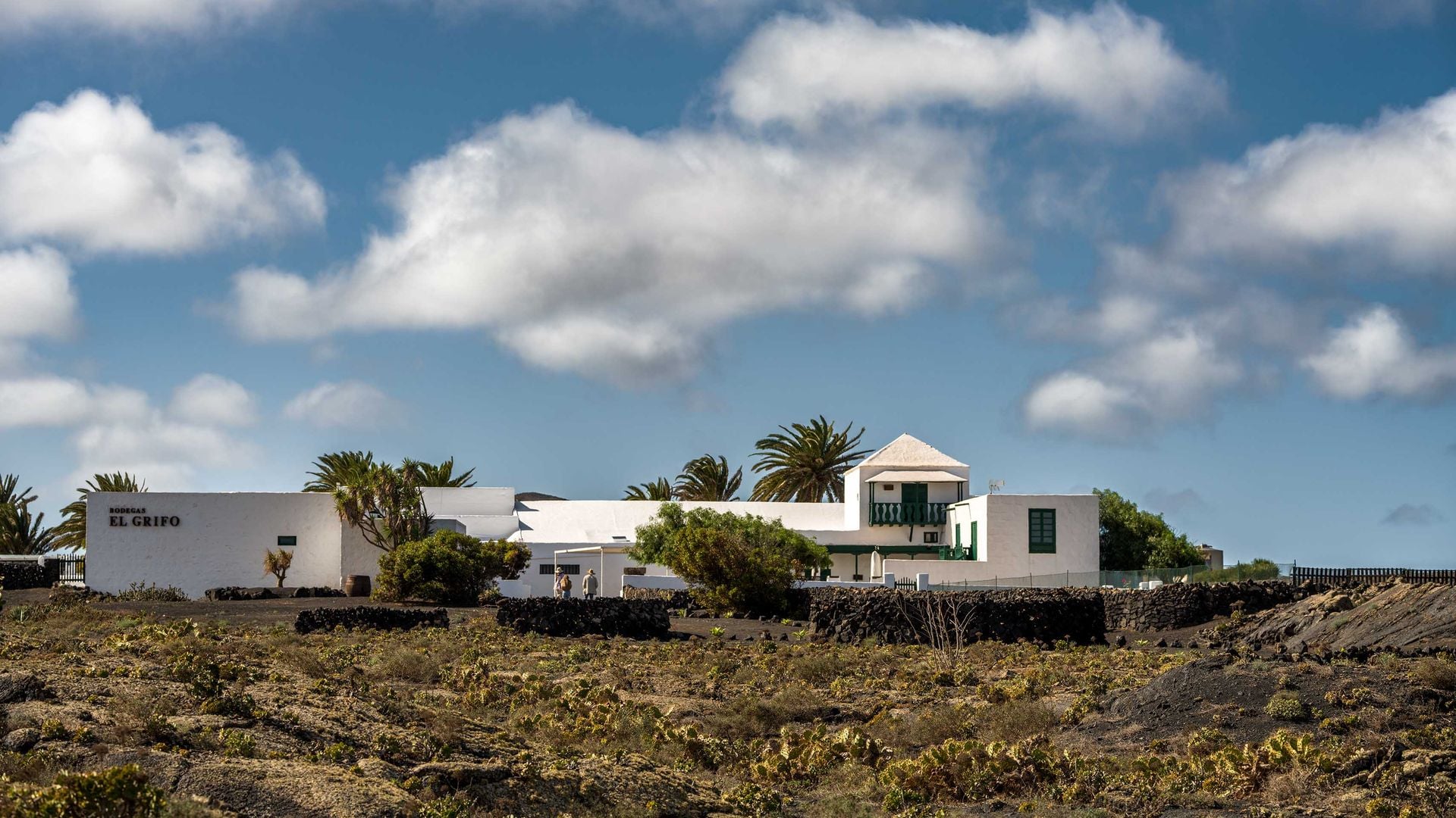 Bodegas El Grifo