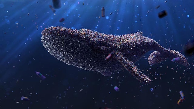 pescadoplastico