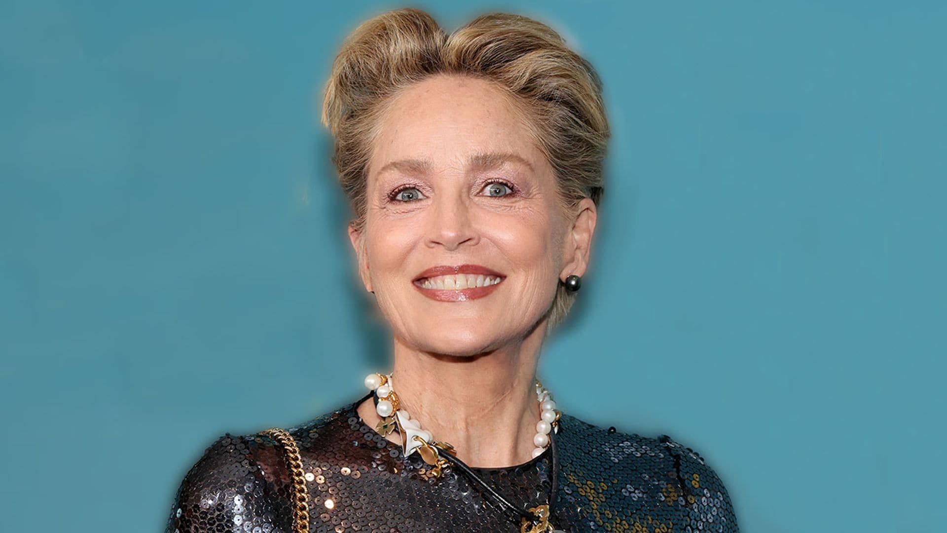 Sharon Stone, demandada por conducción temeraria y herir a una mujer en un accidente de tráfico