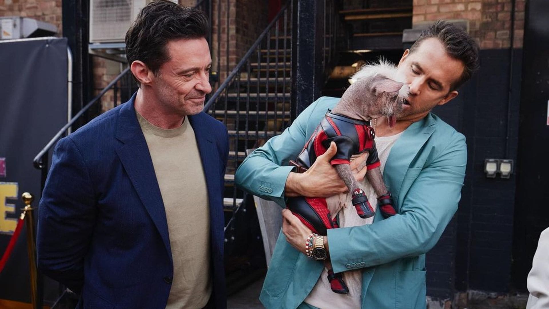 Conoce a los perritos más famosos de Hollywood actualmente