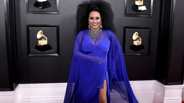 62nd annual grammy awards arrivals
