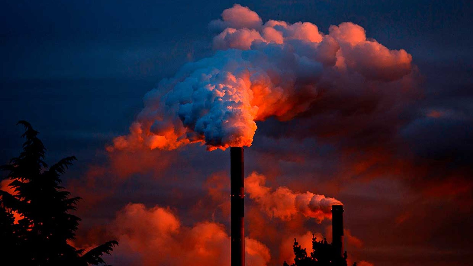 teorias apocalipticas medio ambiente ciencia
