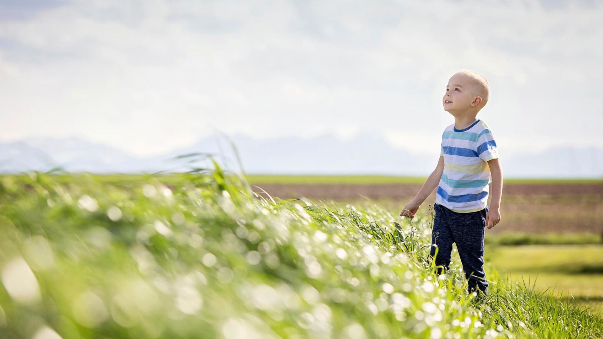 Niños y derecho al olvido oncológico: ¿cómo les afecta?