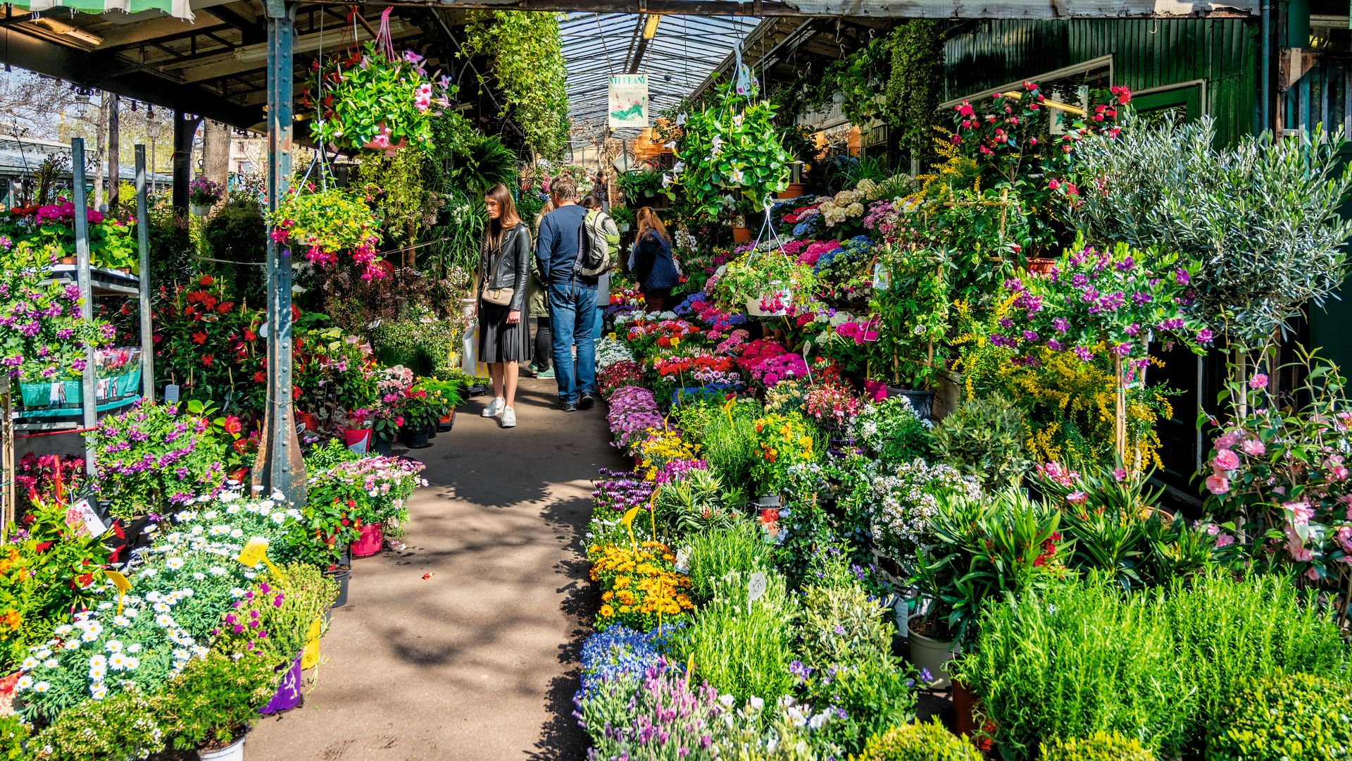 Mercado de las flores Reine Elizabeth II en París, Francia