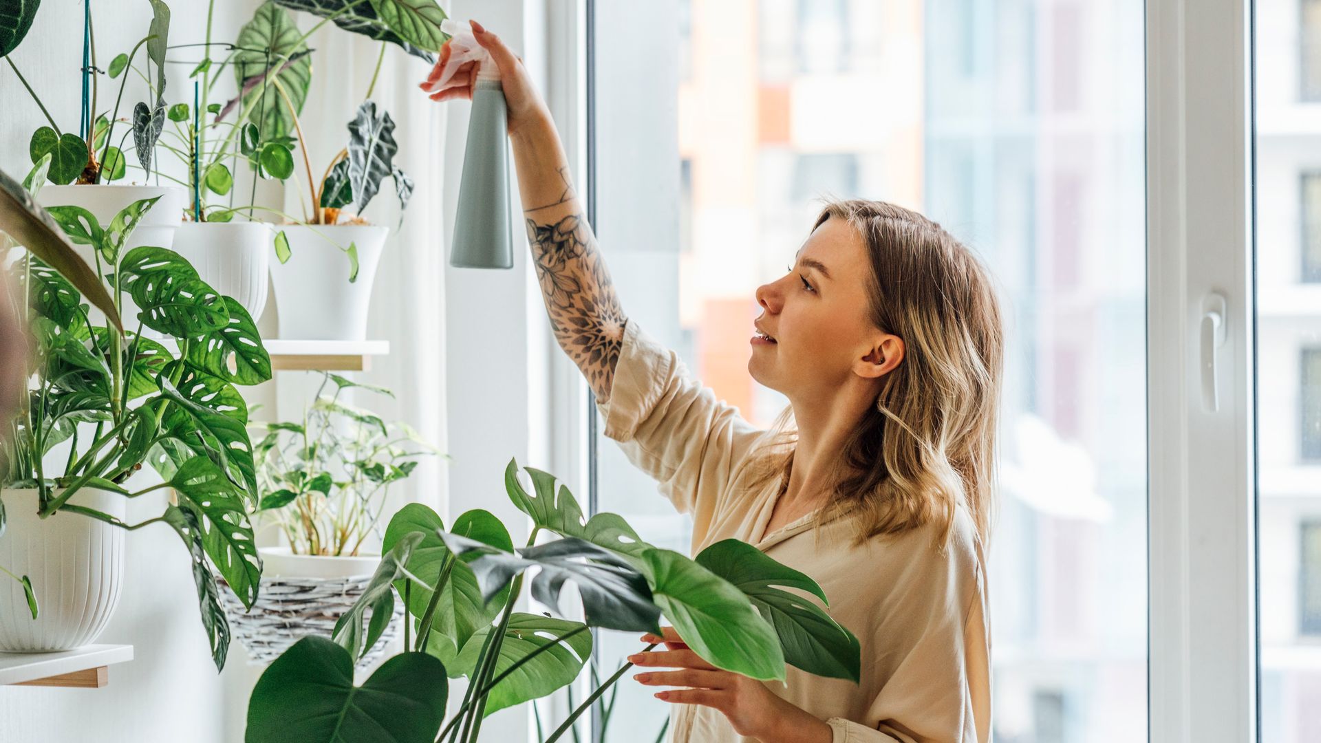 8 nuevas tendencias en decoterapia: de cómo cuidar las plantas a los colores naturales