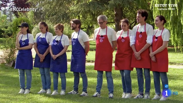masterchef celebrity